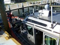 Peanut Island W4K 2010 (172)